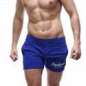 Comfortable Men's Short Bodybuilding Short Sweatshirt